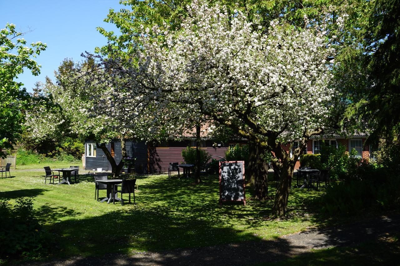 Lucy'S Inn Eesergroen Exteriör bild
